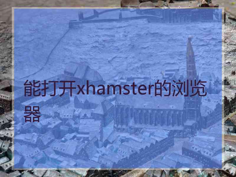 能打开xhamster的浏览器