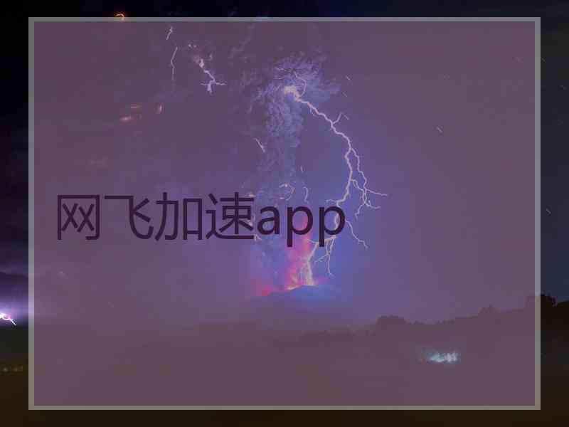 网飞加速app