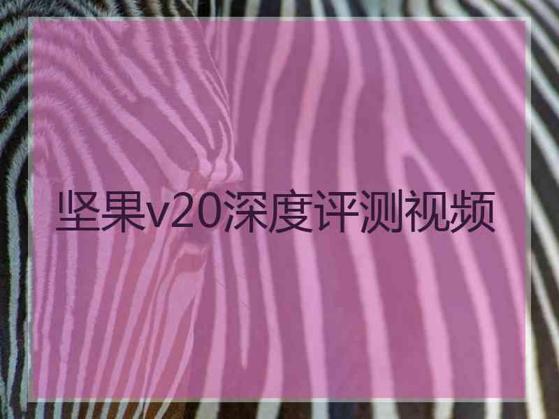 坚果v20深度评测视频