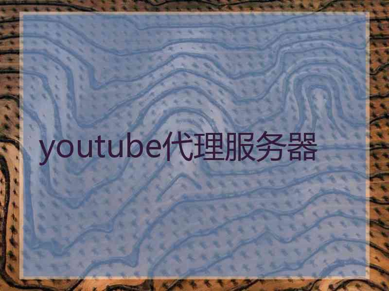 youtube代理服务器