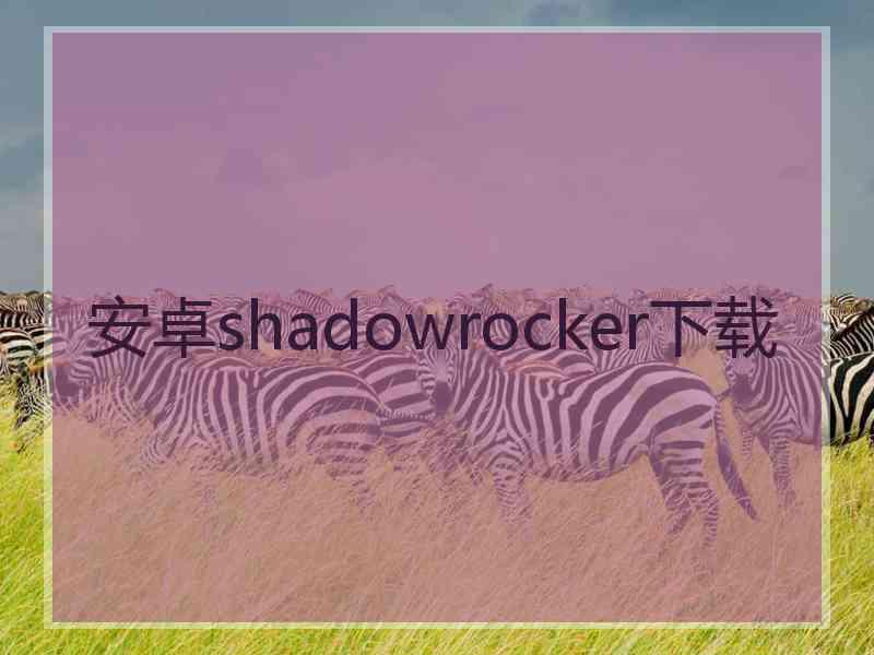 安卓shadowrocker下载