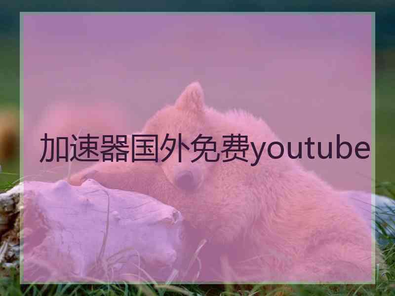 加速器国外免费youtube