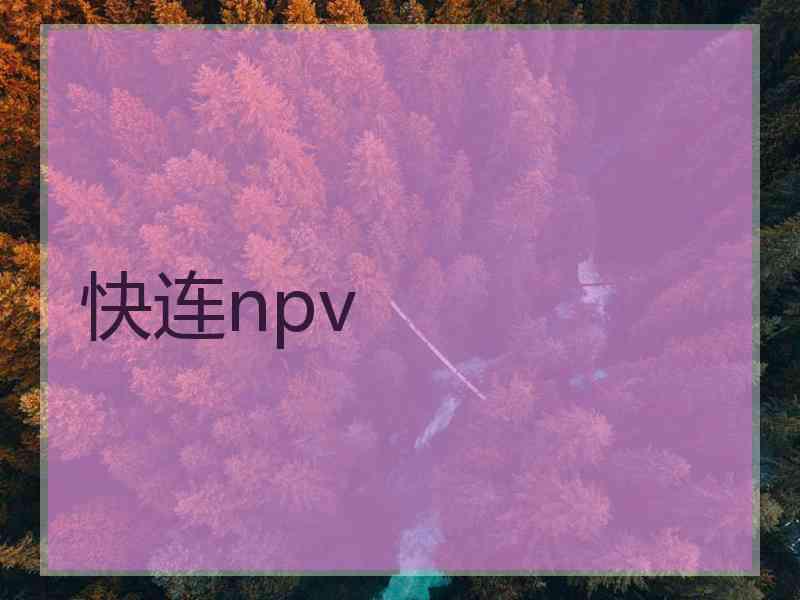 快连npv