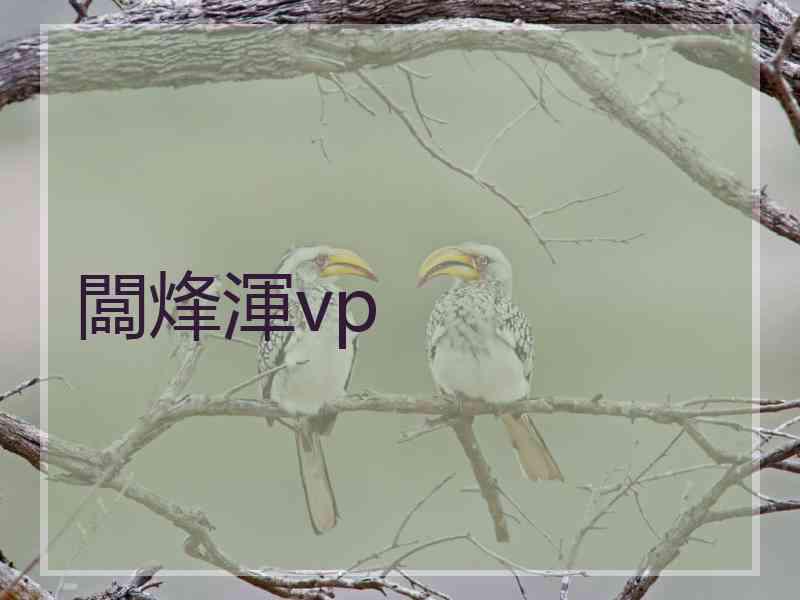 闆烽渾vp