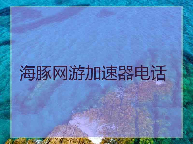 海豚网游加速器电话