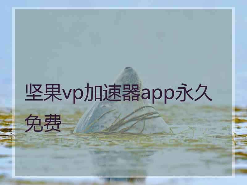 坚果vp加速器app永久免费