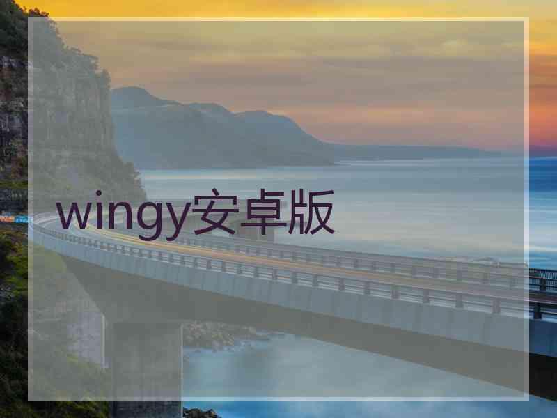 wingy安卓版