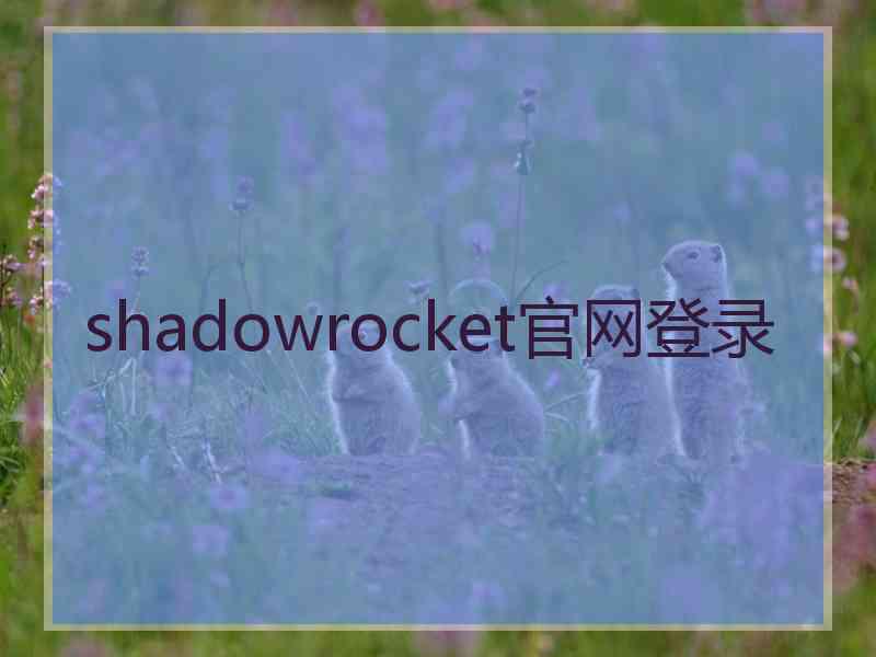 shadowrocket官网登录