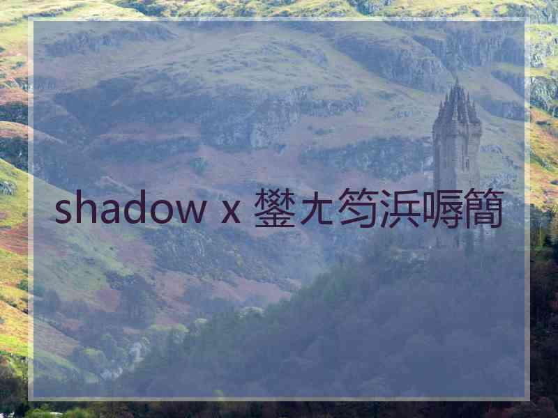 shadow x 鐢ㄤ笉浜嗕簡