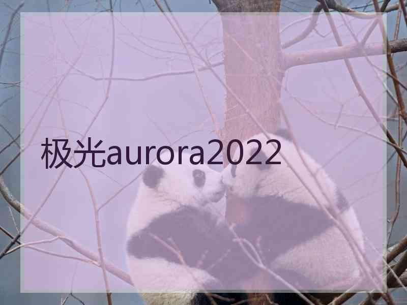 极光aurora2022