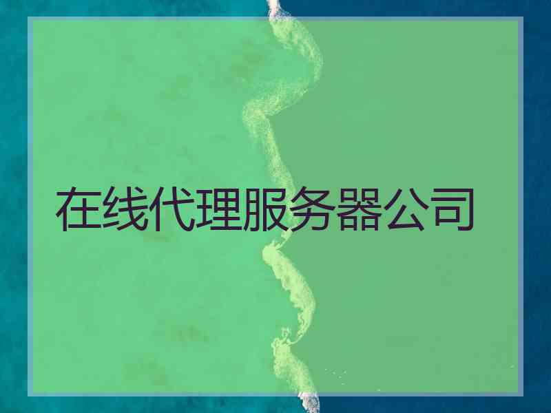 在线代理服务器公司