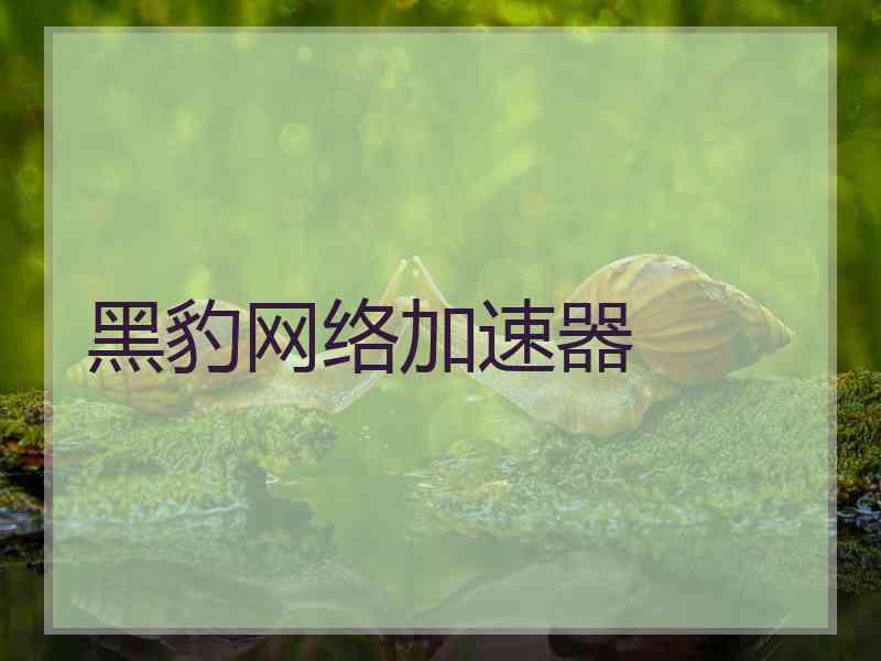 黑豹网络加速器