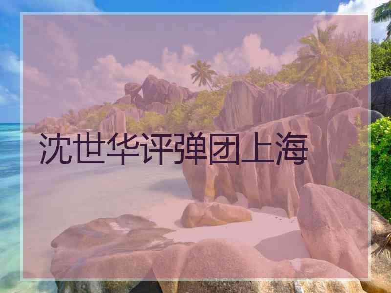 沈世华评弹团上海