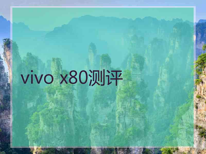 vivo x80测评