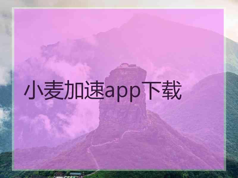 小麦加速app下载