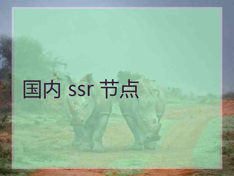 国内 ssr 节点