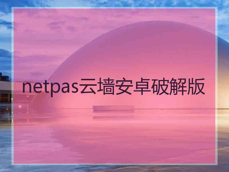 netpas云墙安卓破解版