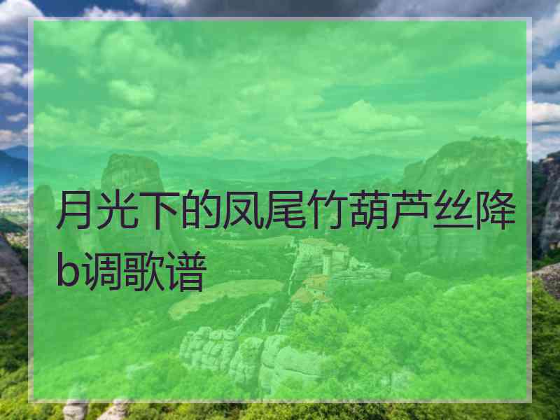 月光下的凤尾竹葫芦丝降b调歌谱