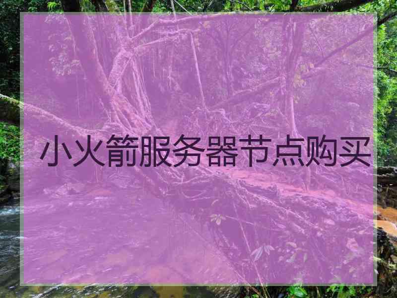 小火箭服务器节点购买