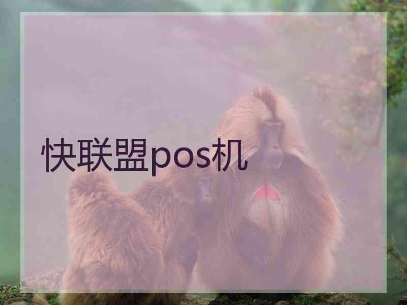 快联盟pos机