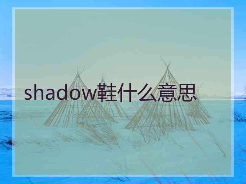 shadow鞋什么意思