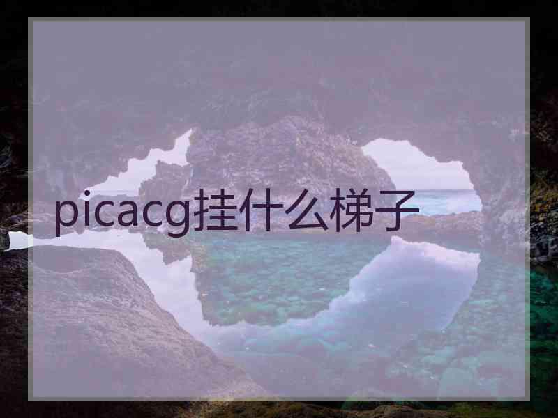 picacg挂什么梯子