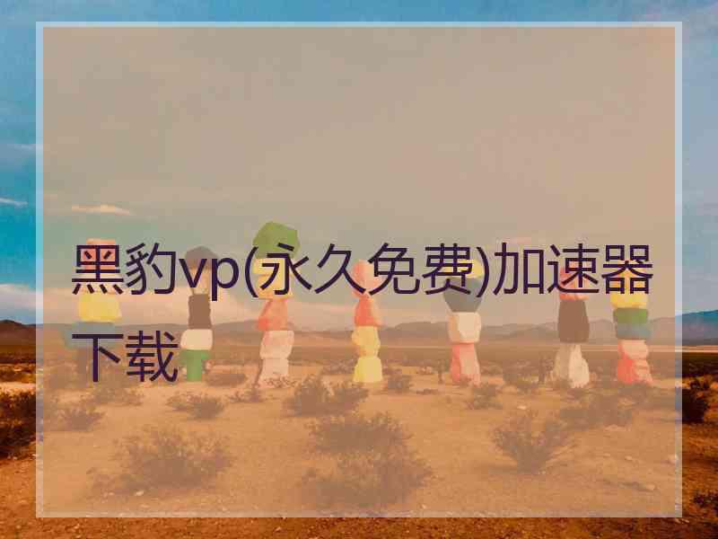 黑豹vp(永久免费)加速器下载