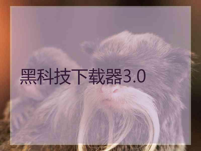 黑科技下载器3.0