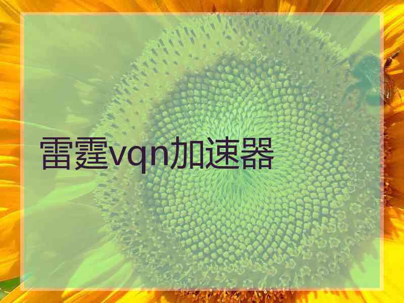 雷霆vqn加速器