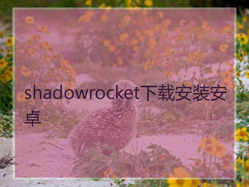 shadowrocket下载安装安卓