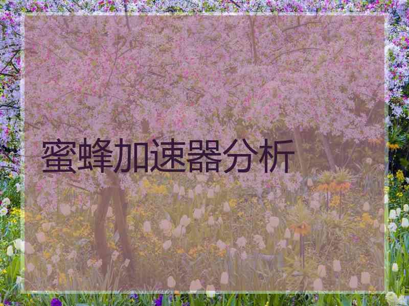 蜜蜂加速器分析