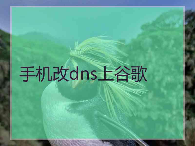 手机改dns上谷歌