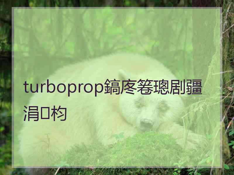 turboprop鎬庝箞璁剧疆涓枃