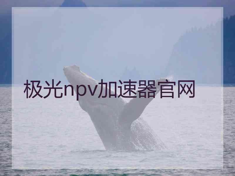 极光npv加速器官网