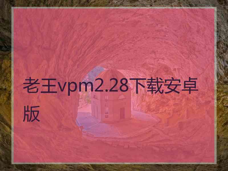 老王vpm2.28下载安卓版