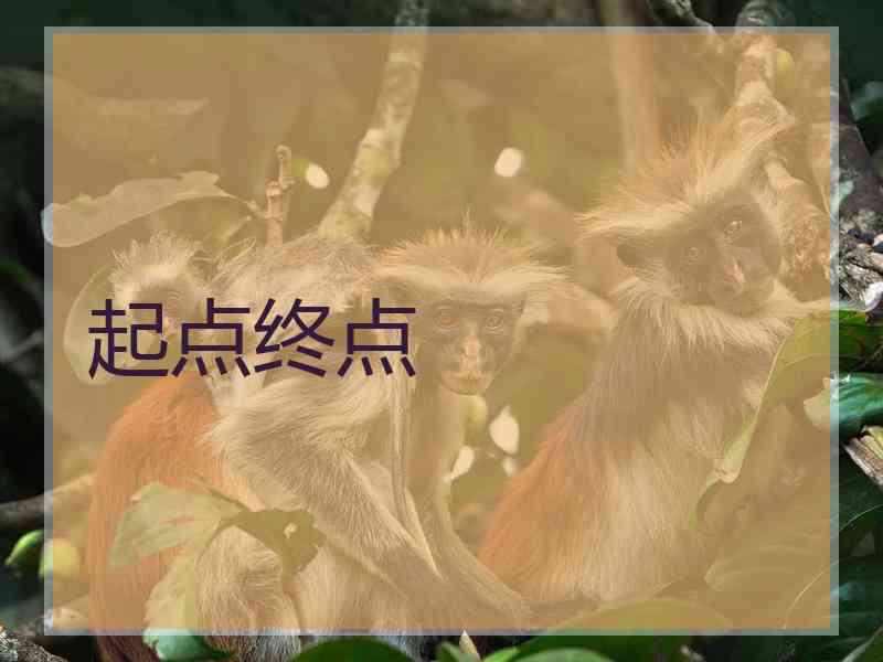 起点终点