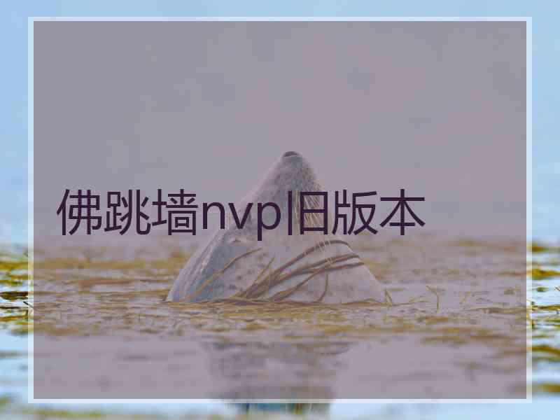 佛跳墙nvp旧版本