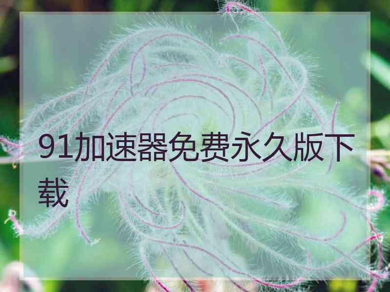 91加速器免费永久版下载