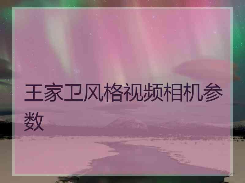 王家卫风格视频相机参数