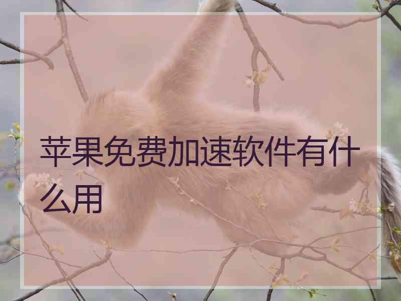 苹果免费加速软件有什么用