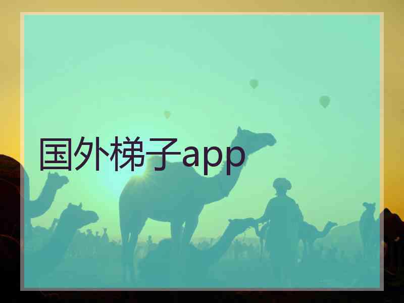 国外梯子app