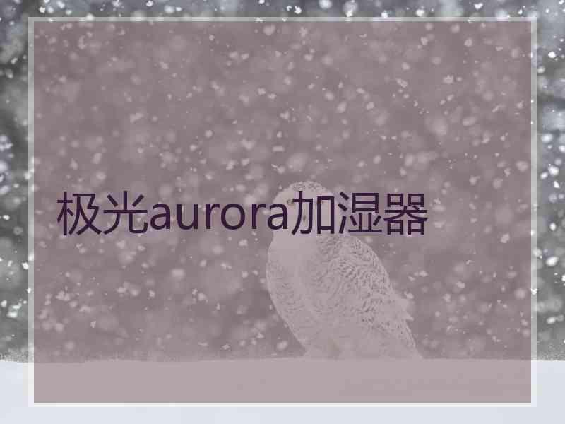 极光aurora加湿器