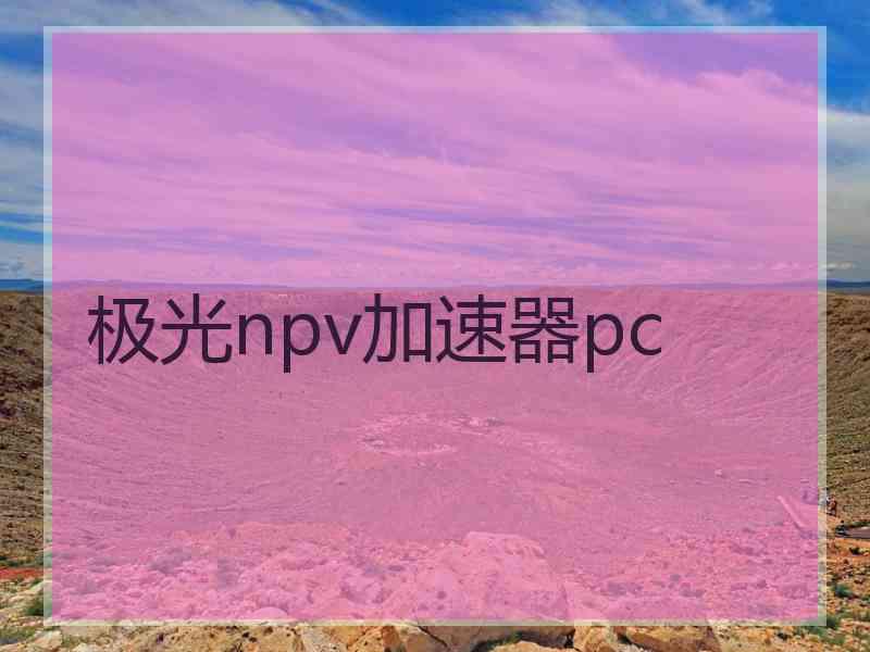 极光npv加速器pc