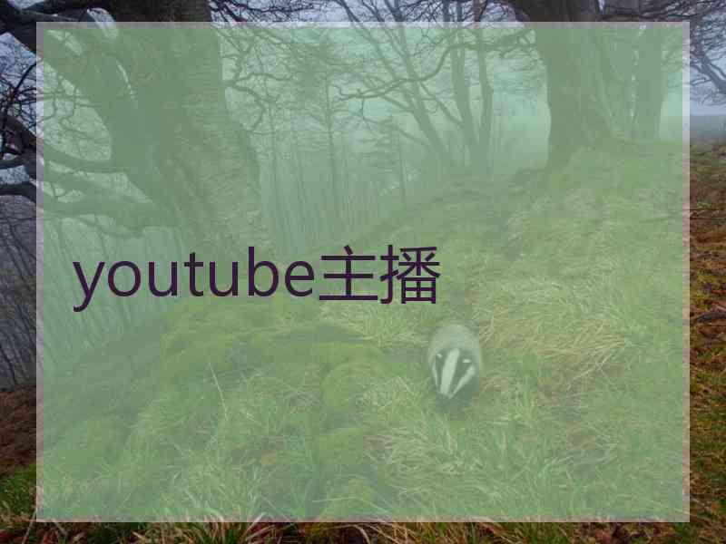 youtube主播