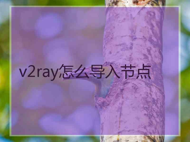 v2ray怎么导入节点