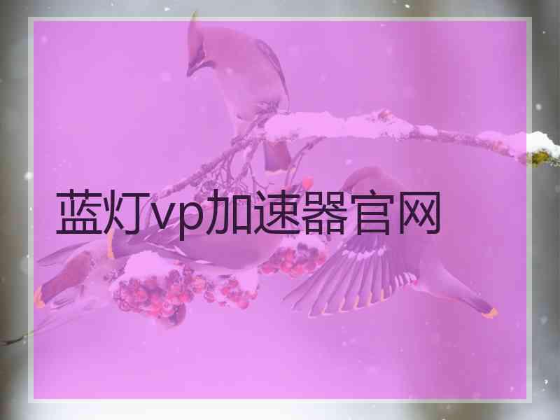 蓝灯vp加速器官网