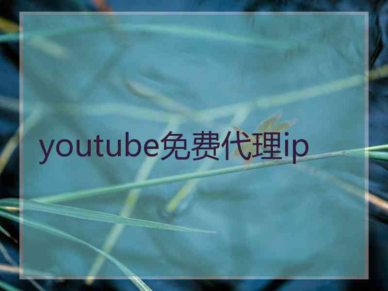 youtube免费代理ip