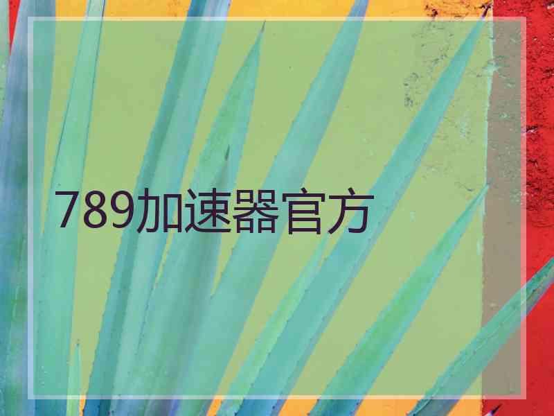 789加速器官方