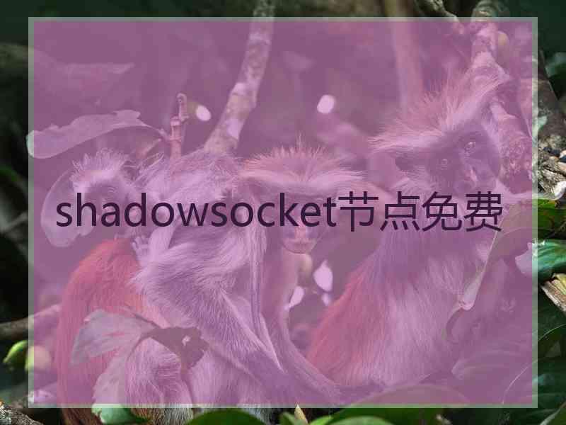 shadowsocket节点免费