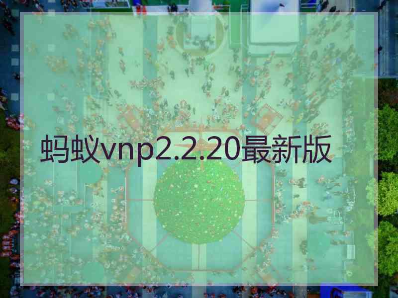 蚂蚁vnp2.2.20最新版